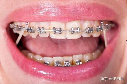 印尼巴士模拟器国产车辆模组 